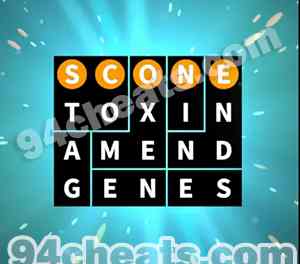 Flow Fit Breakfast 4