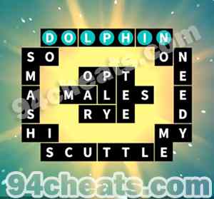 Flow Fit Island Life 17