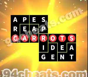 Flow Fit Snack Pack 11