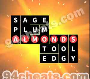 Flow Fit Snack Pack 12